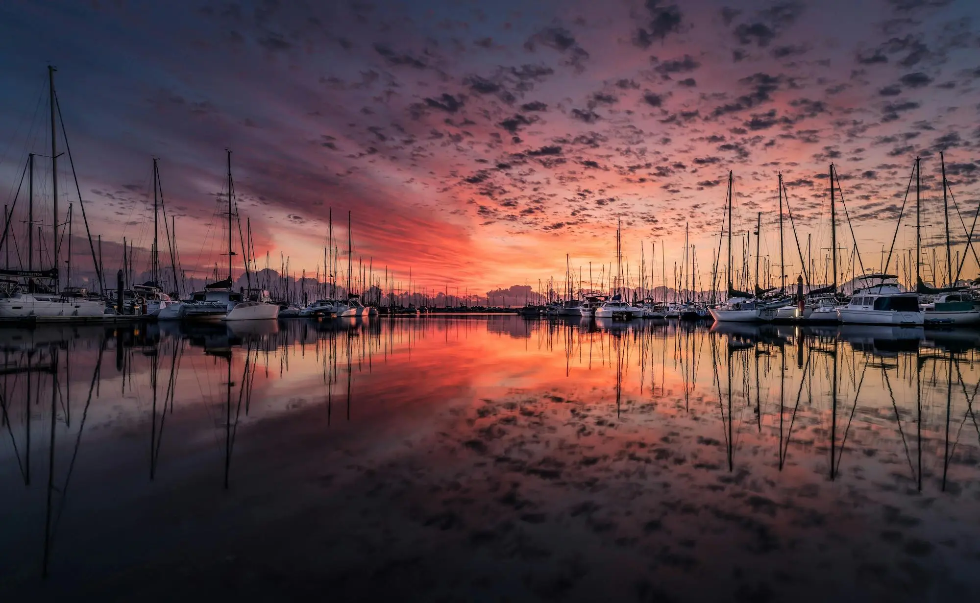 A harbor full of boats with a pink sunset casting its light on everything